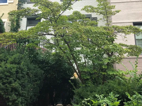 232 2nd Street SE, 232 2nd St SE, Washington, DC 20003