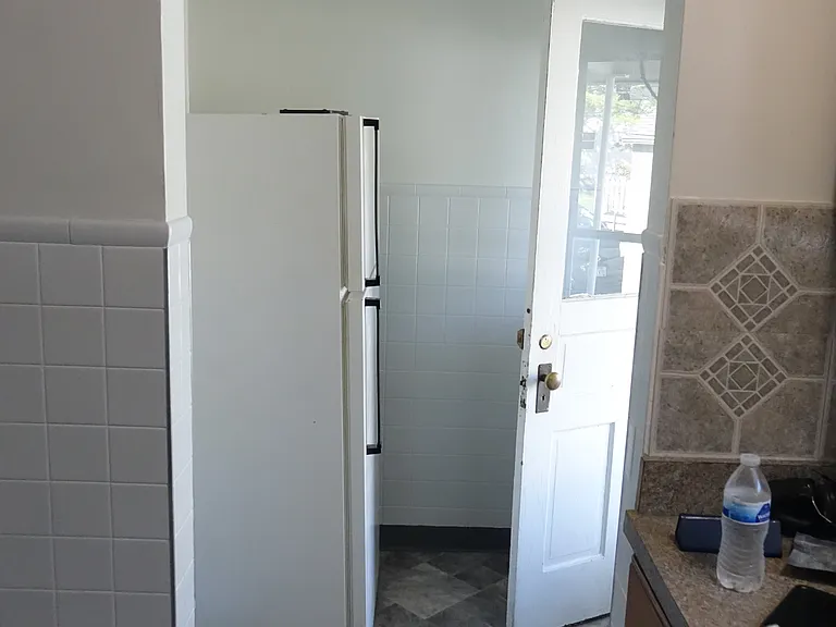 Kitchen Fridge and Rear Entrance