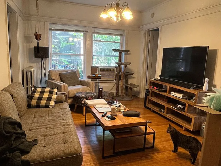 Argyle — Photo 3