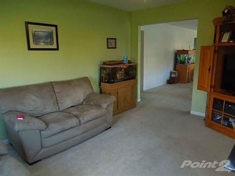 Web Pix 4905 Hickory 002 2