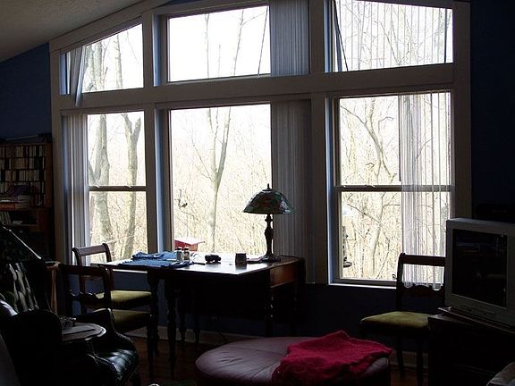 Windows in Great Room