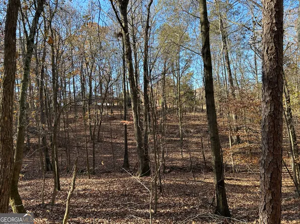 0 Dove Hill Rd, Royston, GA 30662