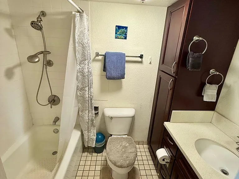 20 Hauoli St #305 — Photo 6
