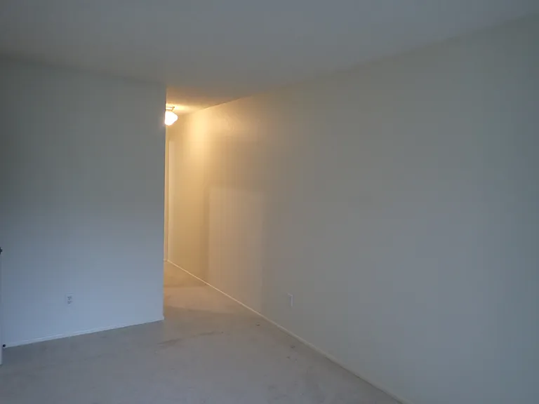 36 Rambling Ln — Photo 20