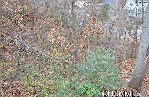 4th image of 0 Waynesville Ave
