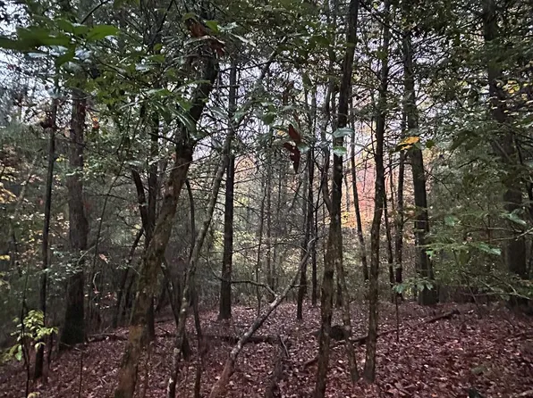 N/a Pennsylvania Ave, Jamestown, TN 38556