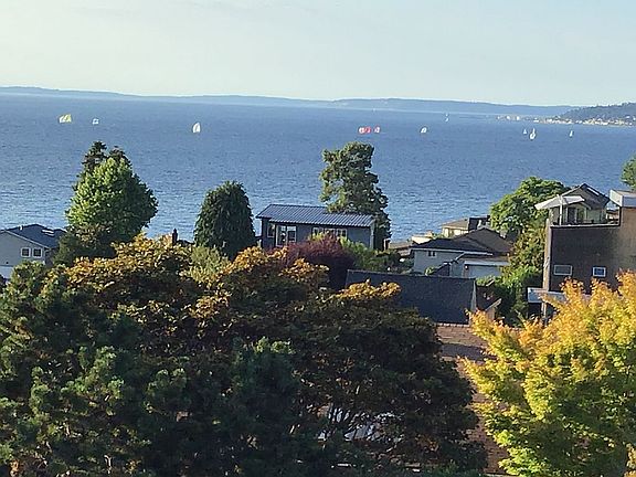Sailboats racing downwind 