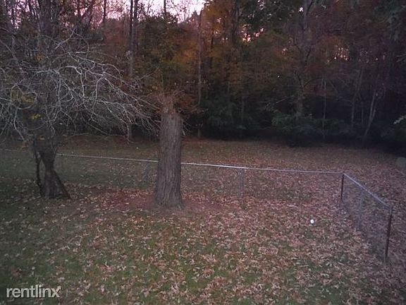 Back Yard fenced in area