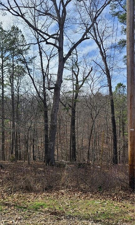 1st image of Bellingham Cir #17
