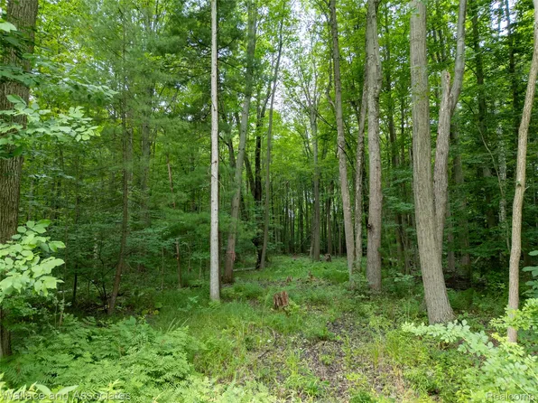V/l Rabidue Rd, North Street, MI 48049