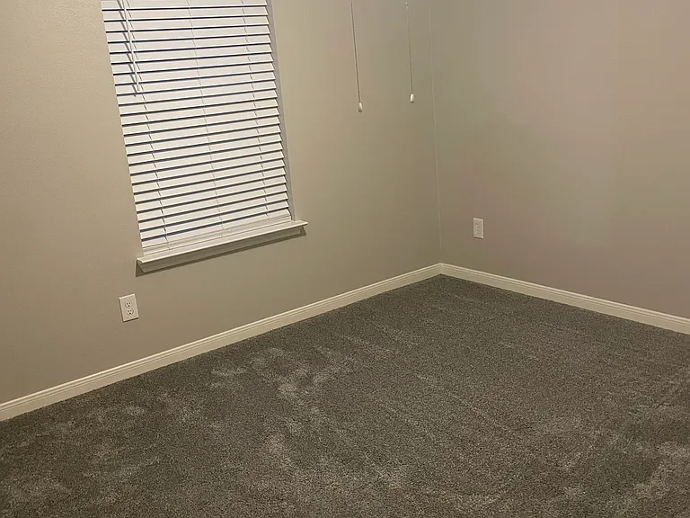 29507 Evergreen Hills Dr — Photo 16