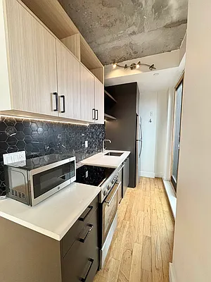 Rented by Voro NYC | media 13