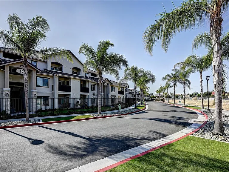 Palms at Morada — Photo 44