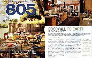 Article on kitchen remodel