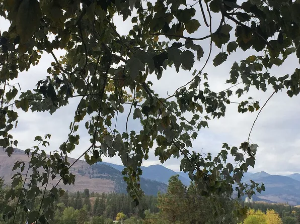 800 Twisp Winthrop Eastside Rd #B, Winthrop, WA 98862