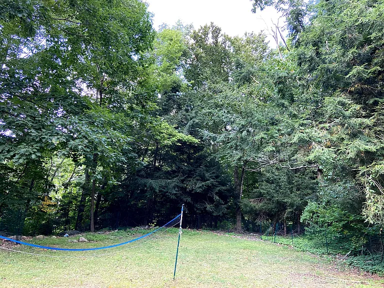 162 Seymour Rd — Photo 21