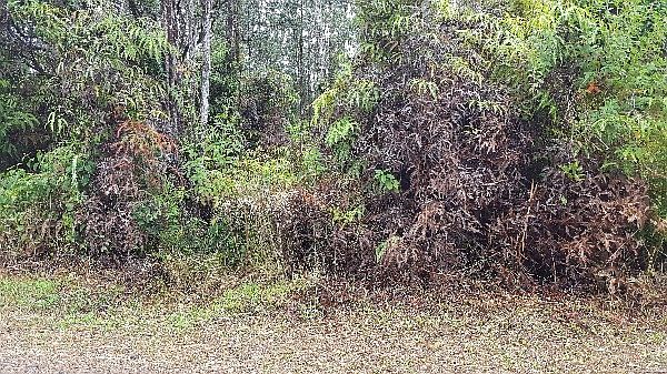 1st image of Road 5 Lot 3939