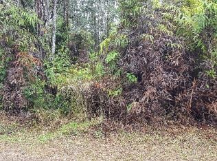 Road 5 LOT 3939, Keaau, HI 96749