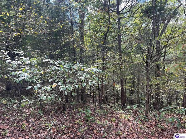 910 Primrose Ln, Brandenburg, KY 40108
