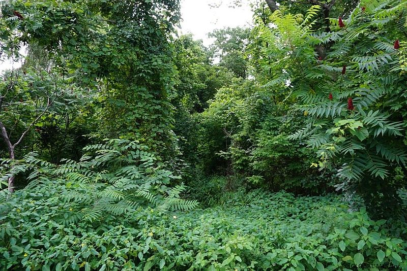 4th image of ENDERS Avenue