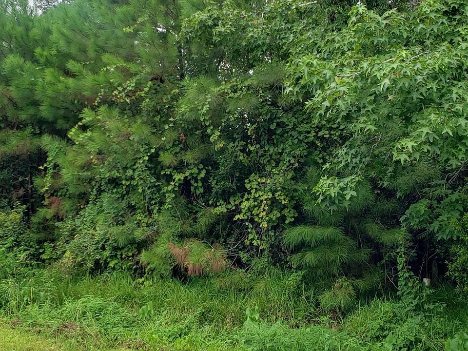 2nd image of L-28 NE 67th Street
