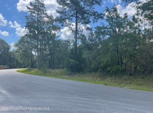 6 Petrel Ave, Brooksville, FL 34614