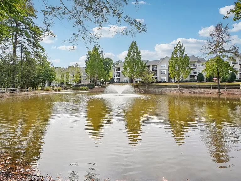 Lake Cameron — Photo 39