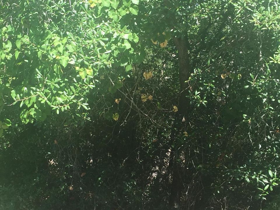 1st image of 118 NE 14th Street