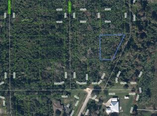 534 Lakesedge Dr, Lake Placid, FL 33852