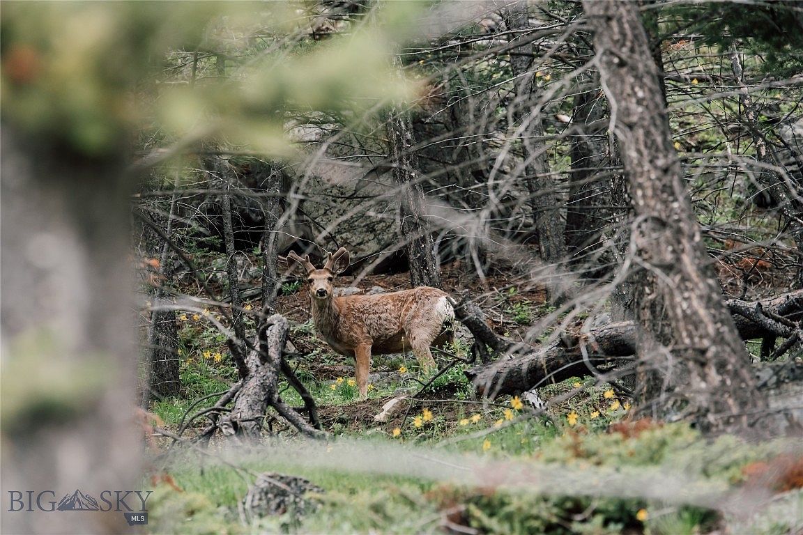 R Schmaus Memorial Dr, Clancy, MT 59634 MLS 383147 Zillow