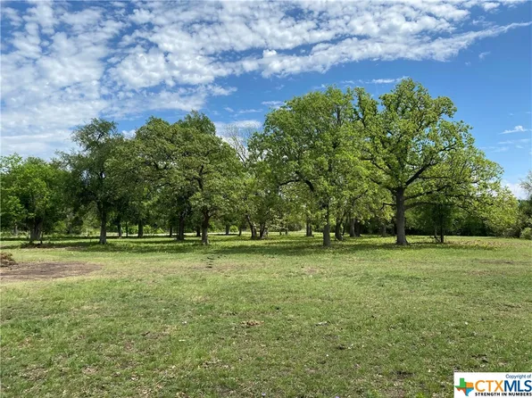 County Road 269, Bertram, TX 78605