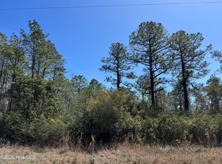 Lot 21 New Hanover Road, Boiling Spring Lakes, NC 28461