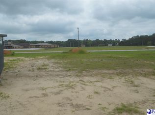 1271 Egrets Point, Hartsville, SC 29550