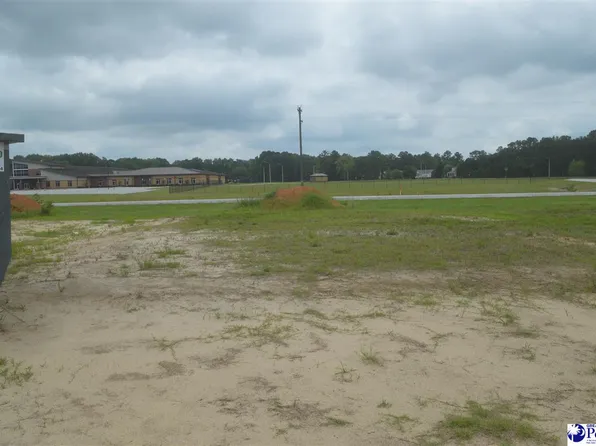 1271 Egrets Point, Hartsville, SC 29550