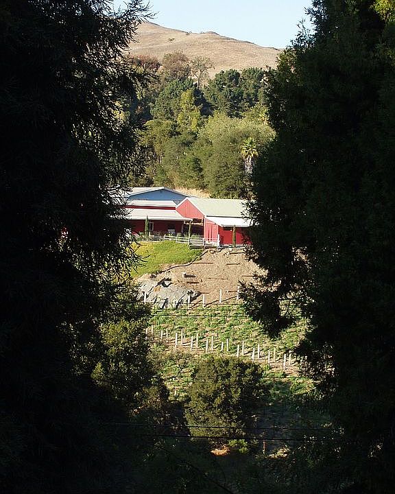 view from house