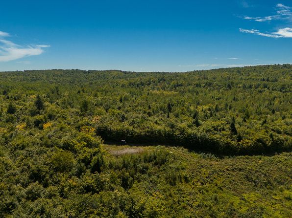 L4-M7 off of Carver Road, Milo, ME 04463