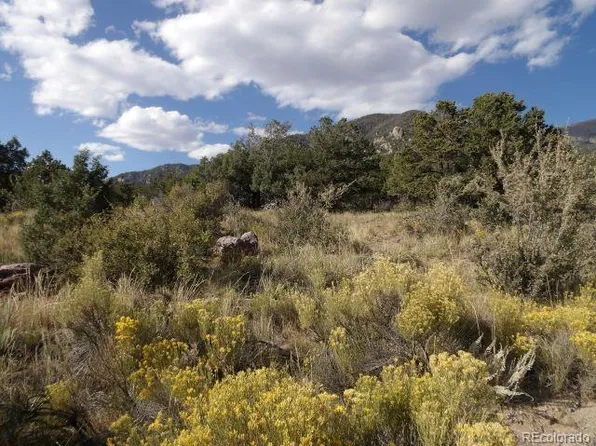 866 Pine Cone Way, Crestone, CO 81131