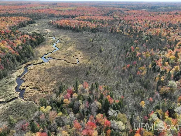 0 Sucker Lake Rd, Watersmeet, MI 49969