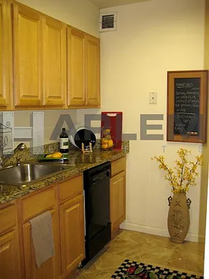 Rented by Harlem Lofts | media 27