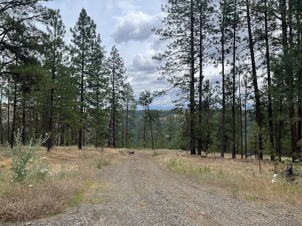 31676 Sontag Rdg E, Davenport, WA 99122
