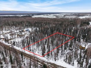 15822 E Greenleaf Dr, Talkeetna, AK 99676