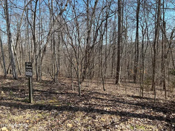 LOT 529 Garnet Trl, New Tazewell, TN 37825