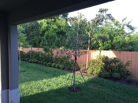 4th image of 5613 Caranday Palm Dr