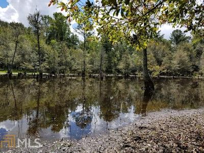 0 Suggs Mill Pond Farm, Reynolds, GA, 31076