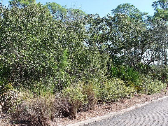 5th image of 12211 Anchor Cove Dr