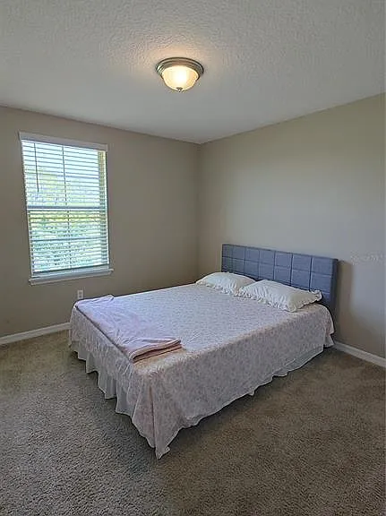 16039 Juniper Inlet Aly — Photo 14