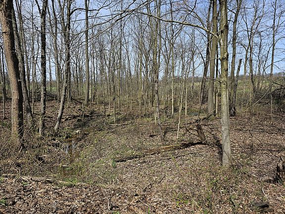 4th image of 8475 Ross Rd