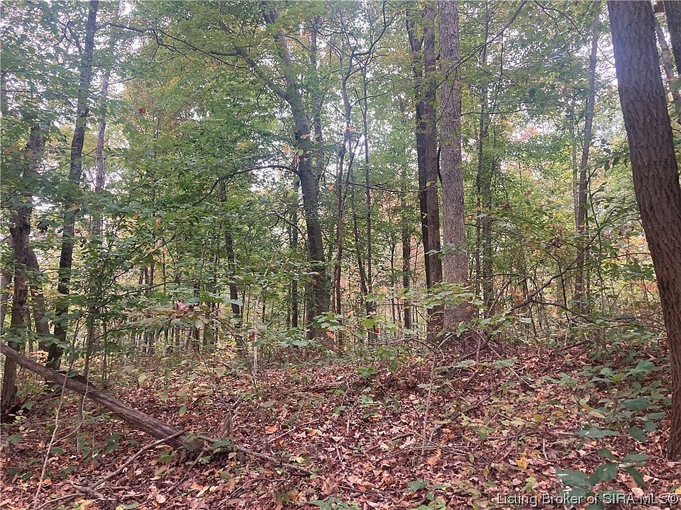 2nd image of Tract 4 E Pilot Knob Road