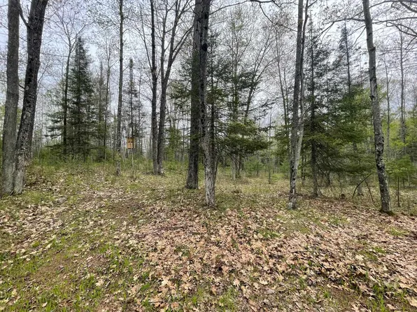 356 Co Rd, Stephenson, MI 49887