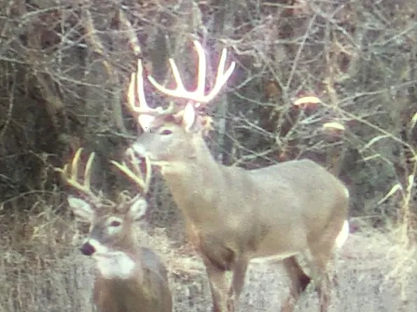 0 County Road 2450, Huntsville, MO 65259